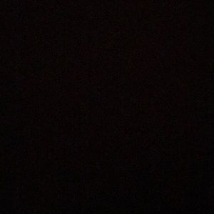 Meet your Posher, Evelyn